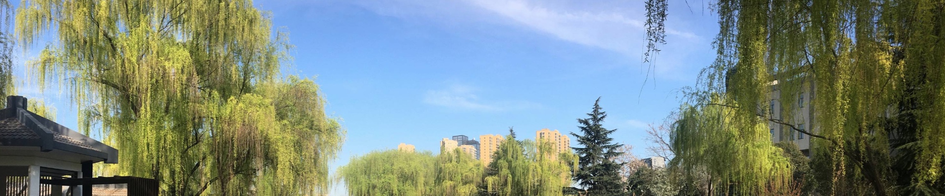 球友会(中国)